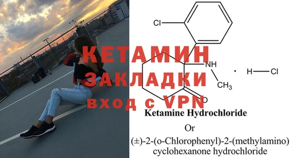 сатива Богородицк