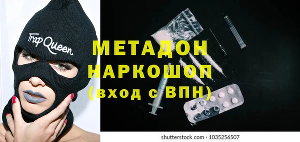 PSILOCYBIN Бородино