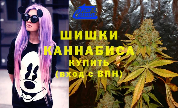 прущий лед Бронницы
