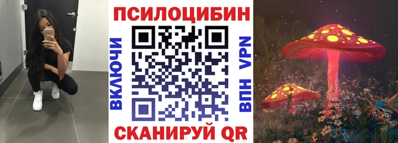 Купить закладки  Воткинск  Псилоцибиновые грибы мухоморы 